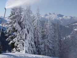 Pour agrandir l'image (1024x768 pixels; 138 KB)