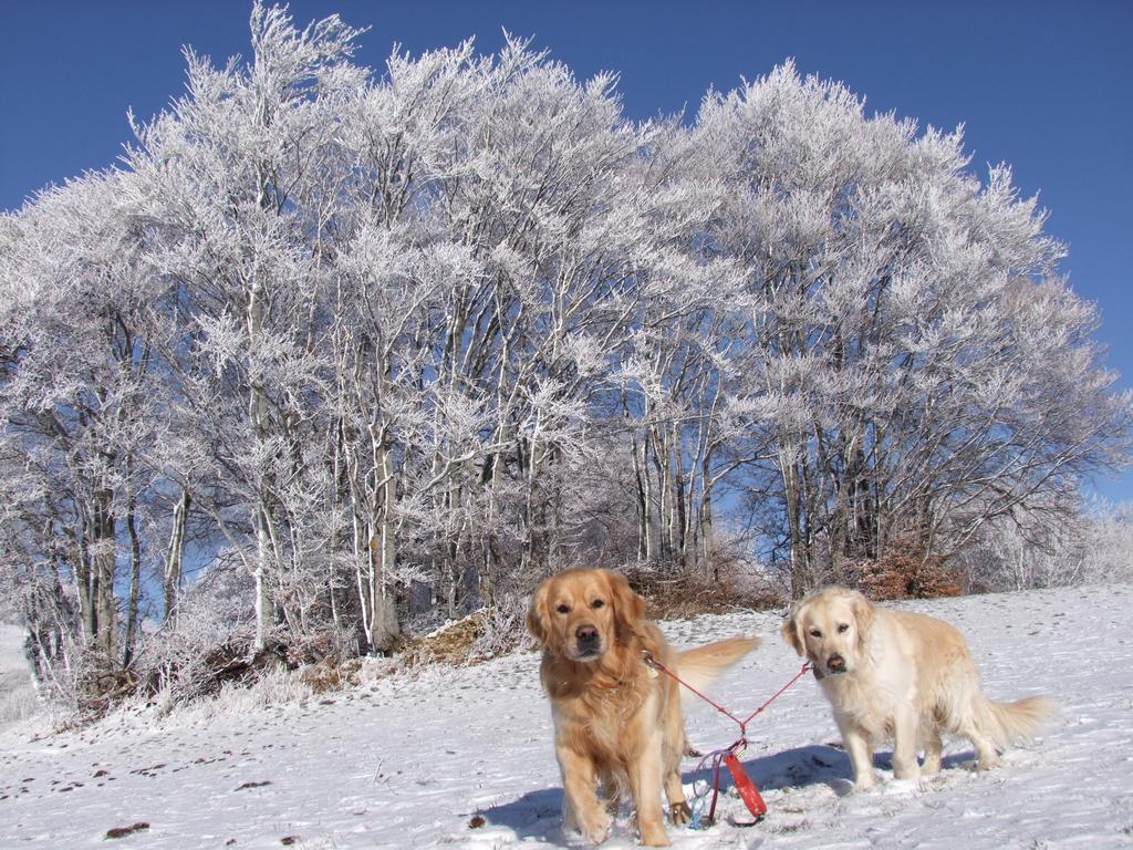 Click to see next picture