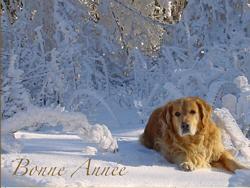 Click to see big picture (1024x768 pixels; 119 KB)