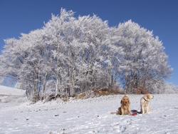 Click to see big picture (1024x768 pixels; 175 KB)