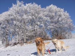 Click to see big picture (1024x768 pixels; 233 KB)