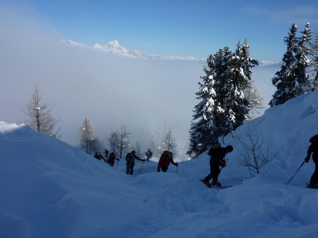 Pour l'image suivante