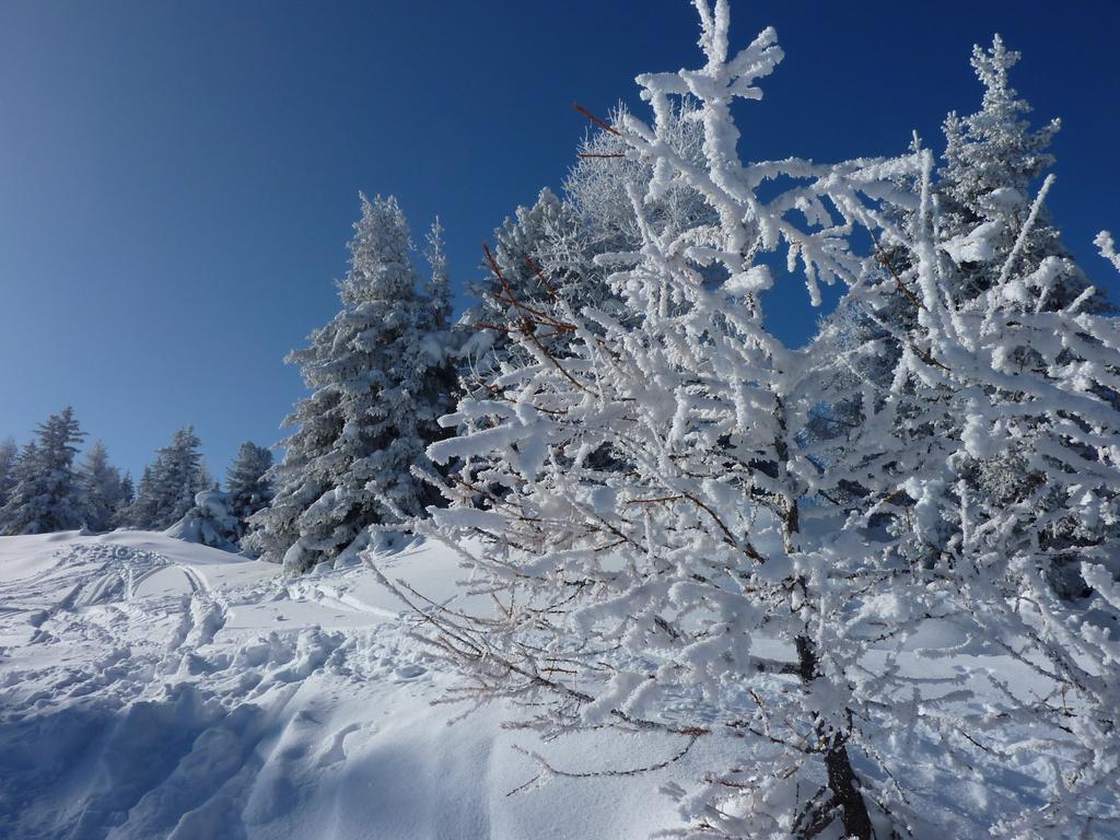Pour l'image suivante