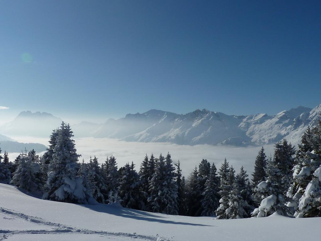 Pour l'image suivante