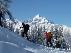 Pour agrandir l'image (1024x768 pixels; 134 KB)