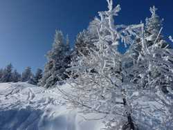 Pour agrandir l'image (1024x768 pixels; 145 KB)