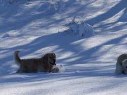 Pour agrandir l'image (1024x768 pixels; 133 KB)