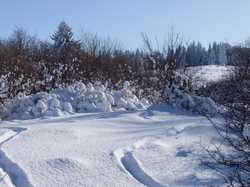 Pour agrandir l'image (1024x768 pixels; 185 KB)