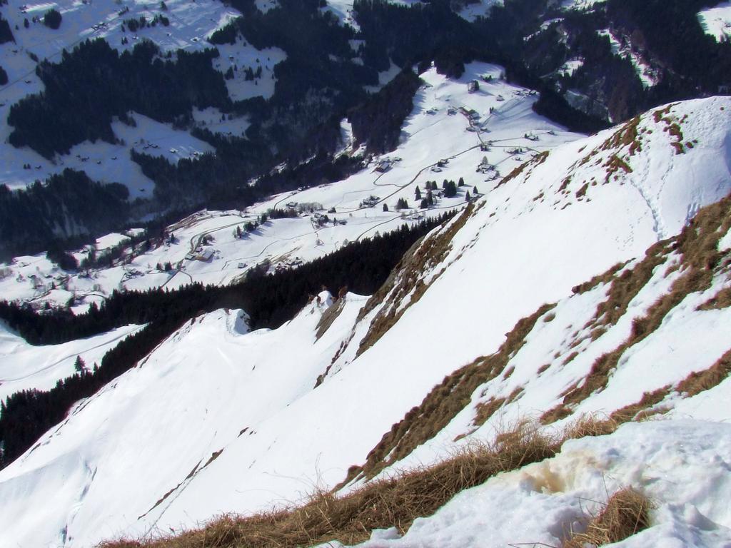 Pour l'image suivante