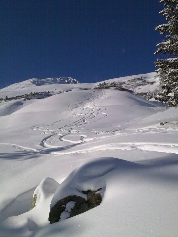 Pour l'image suivante