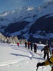 Pour agrandir l'image (576x768 pixels; 71 KB)