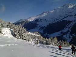 Pour agrandir l'image (1024x768 pixels; 127 KB)