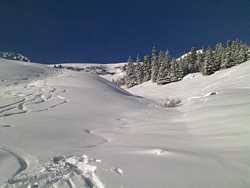 Pour agrandir l'image (1024x768 pixels; 98 KB)