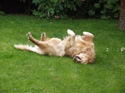 Clic pour agrandir l'image (1024x768 pixels; 209 KB)