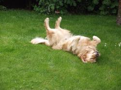 Clic pour agrandir l'image (1024x768 pixels; 197 KB)