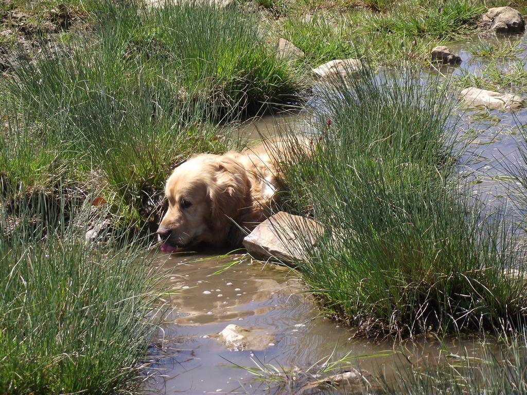 clic ici pour suivante