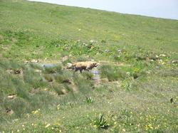 Clic pour agrandir l'image (1024x768 pixels; 271 KB)