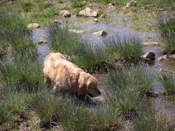 Clic pour agrandir l'image (1024x768 pixels; 302 KB)