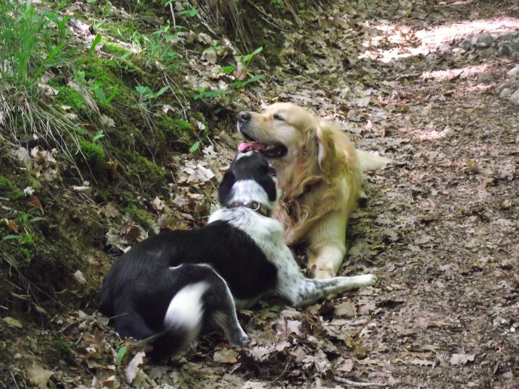 clic ici pour suivante