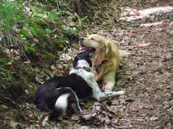 Clic pour agrandir l'image (1024x768 pixels; 224 KB)