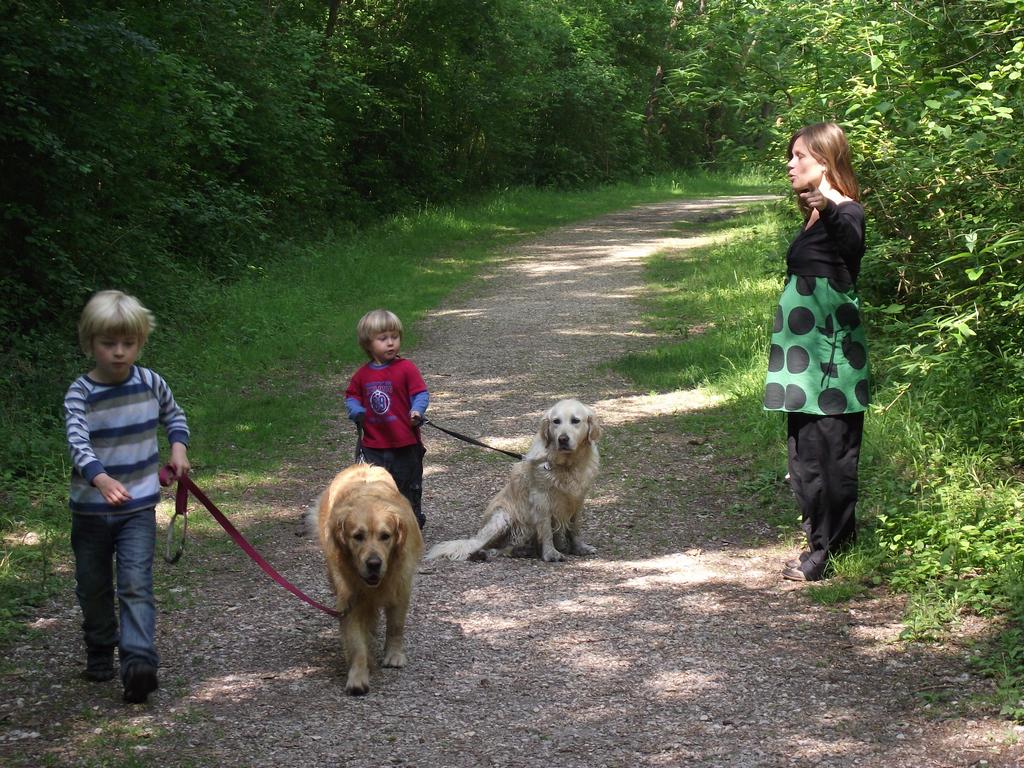 clic ici pour suivante