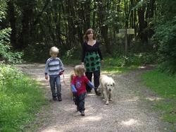 Clic pour agrandir l'image (1024x768 pixels; 246 KB)