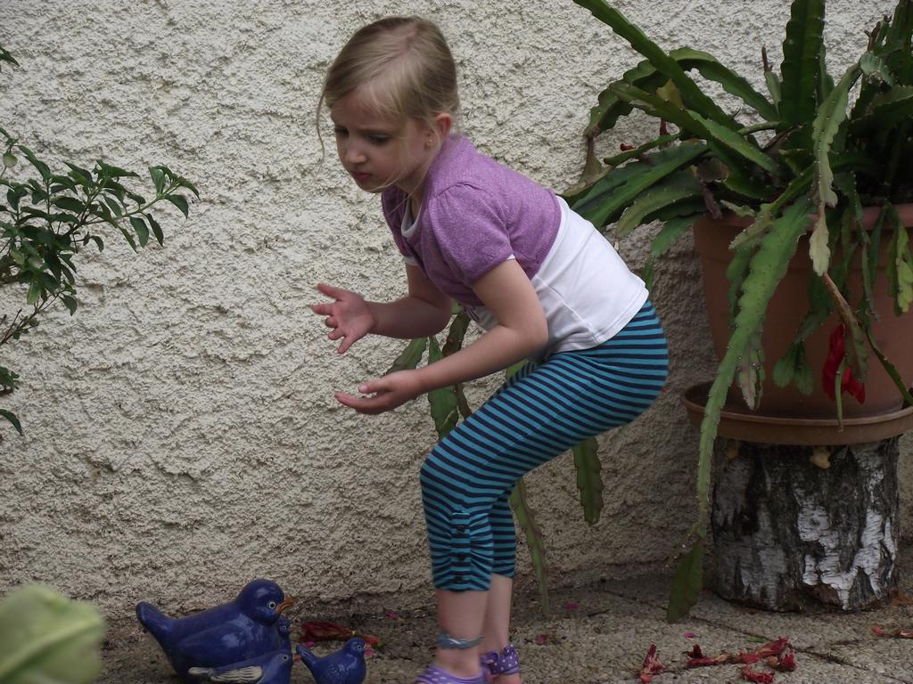 clic ici pour suivante