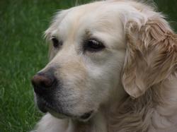 Clic pour agrandir l'image (1024x768 pixels; 122 KB)