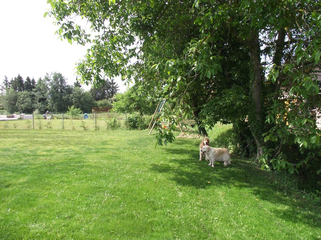 clic ici pour suivante