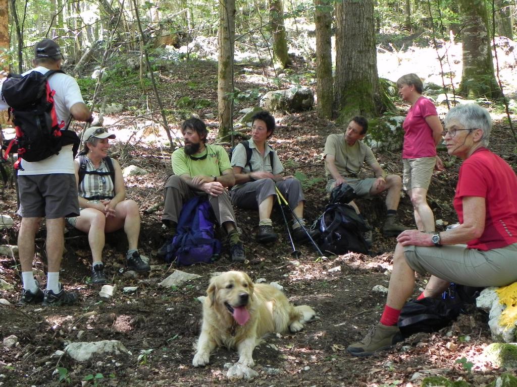 clic ici pour suivante