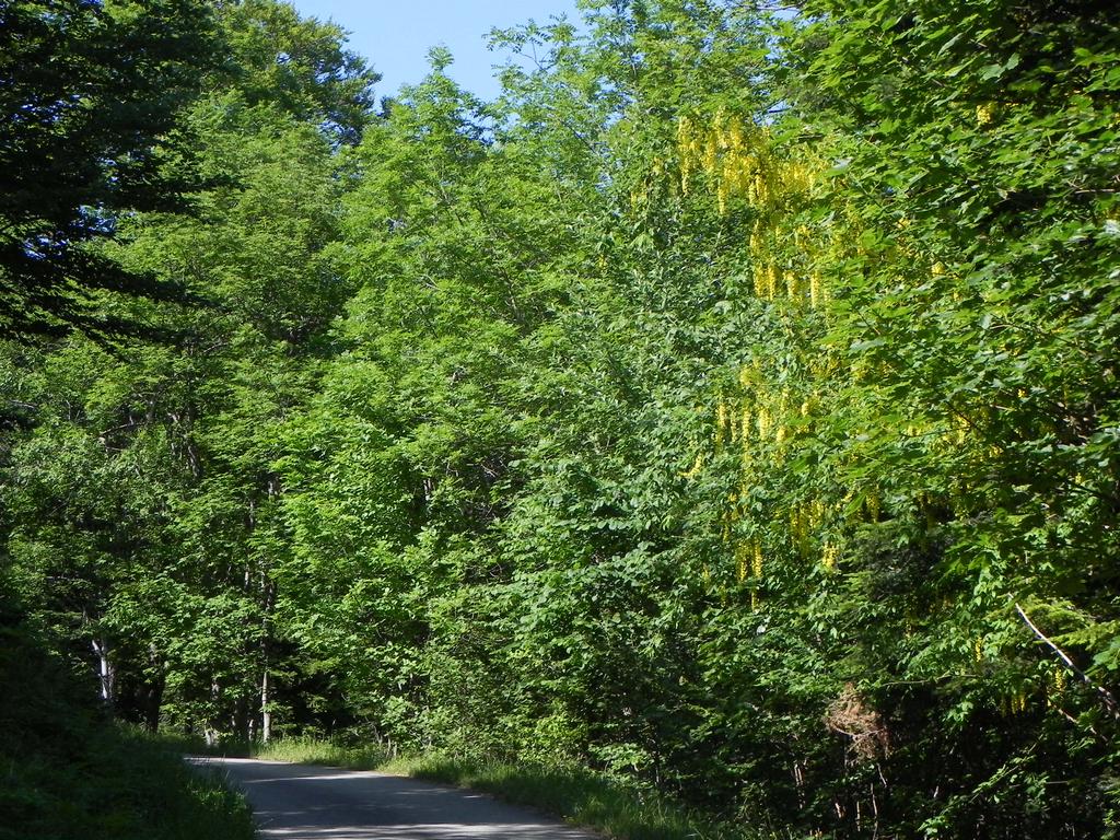 clic ici pour suivante