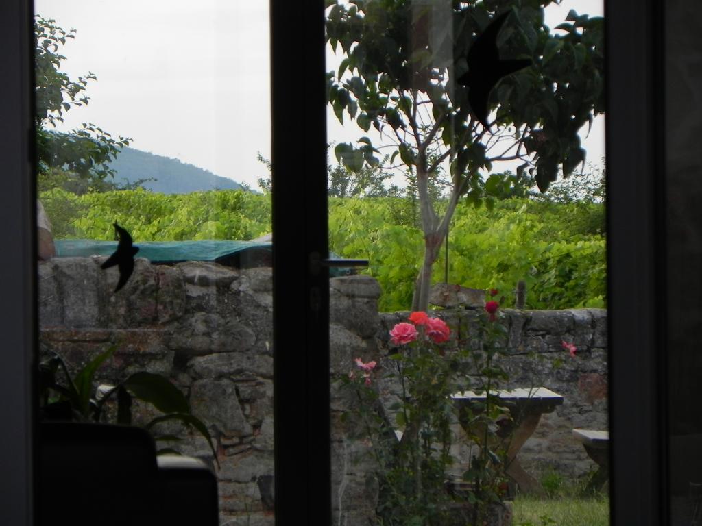 clic ici pour suivante