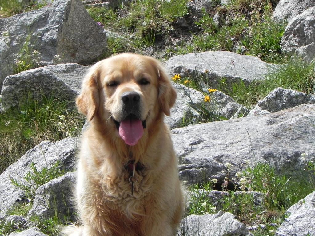 clic ici pour suivante