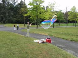 Clic pour agrandir l'image (1024x768 pixels; 175 KB)