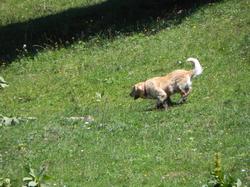 Clic pour agrandir l'image (1024x768 pixels; 166 KB)