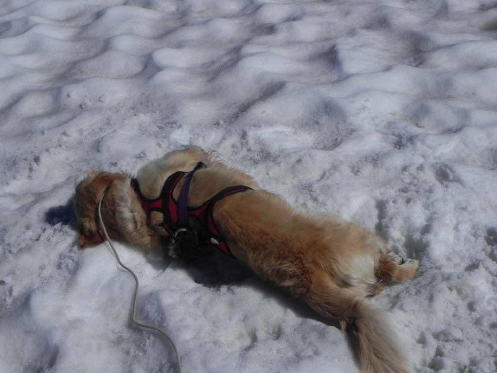 clic ici pour suivante