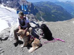 Clic pour agrandir l'image (1024x768 pixels; 180 KB)