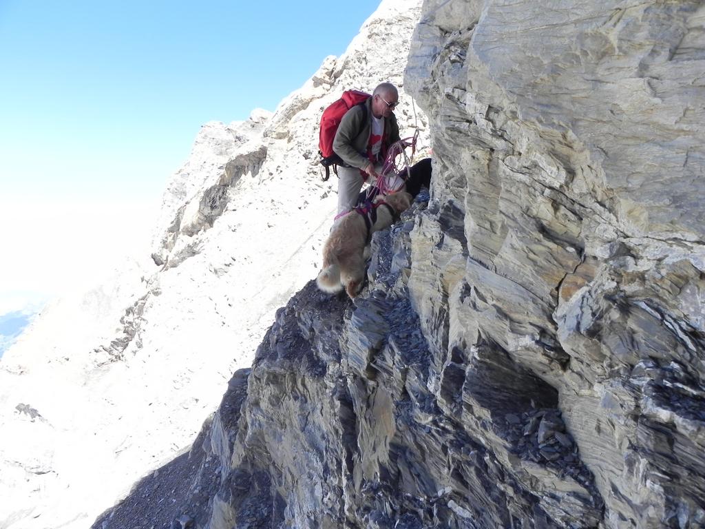 clic ici pour suivante