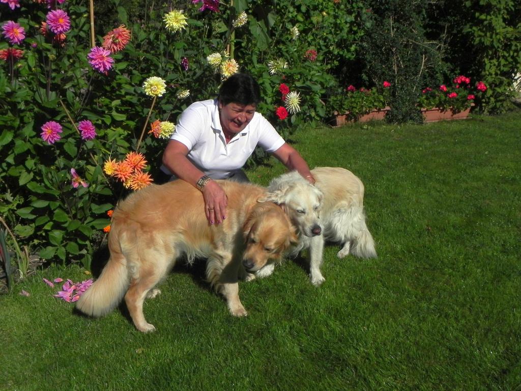 clic ici pour suivante