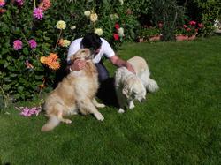 Clic pour agrandir l'image (1024x768 pixels; 176 KB)