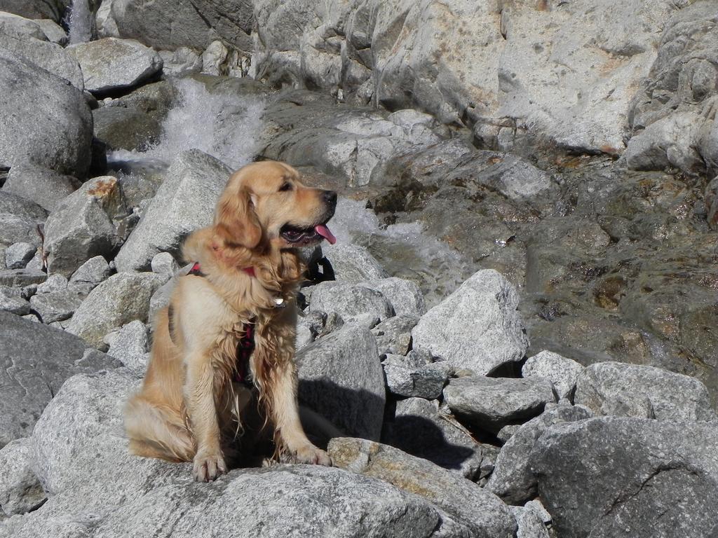 clic ici pour suivante