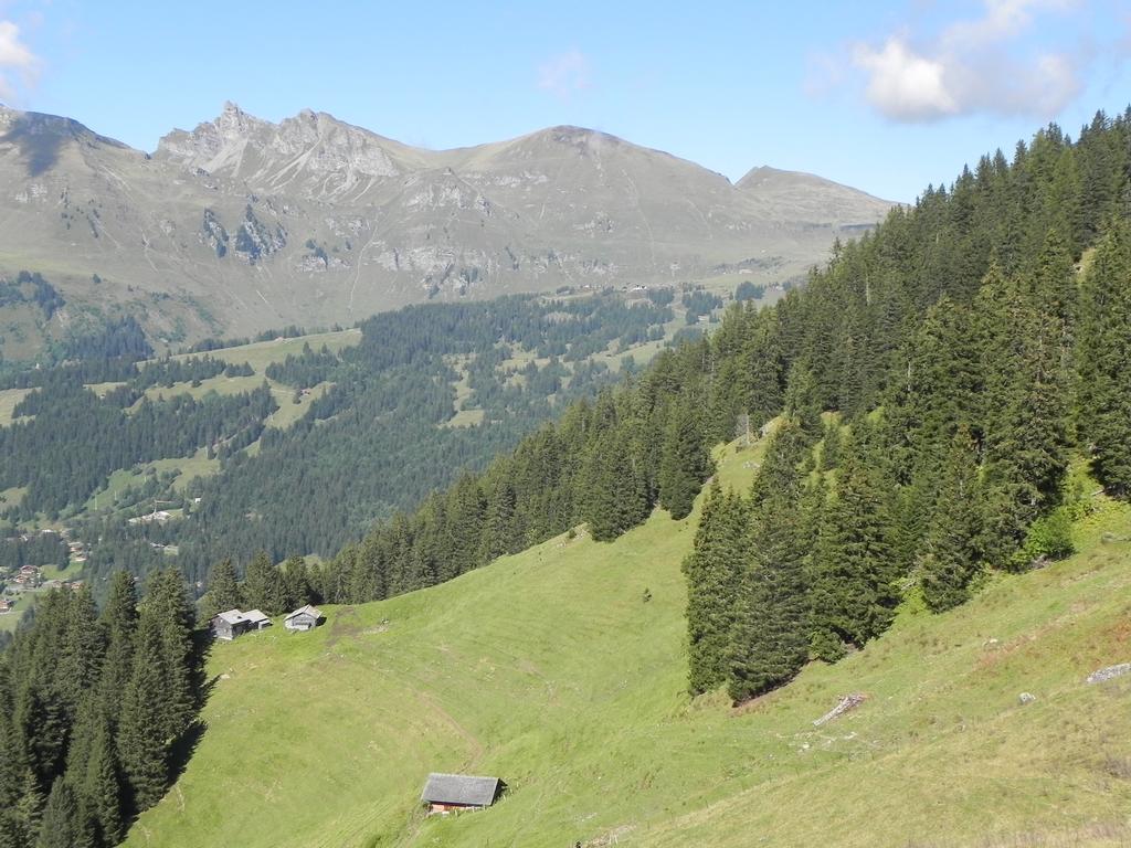 clic ici pour suivante