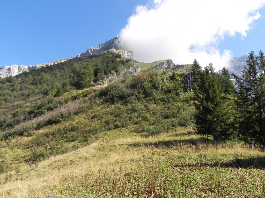 clic ici pour suivante