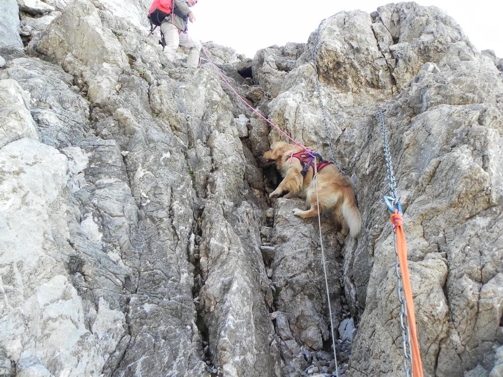 clic ici pour suivante