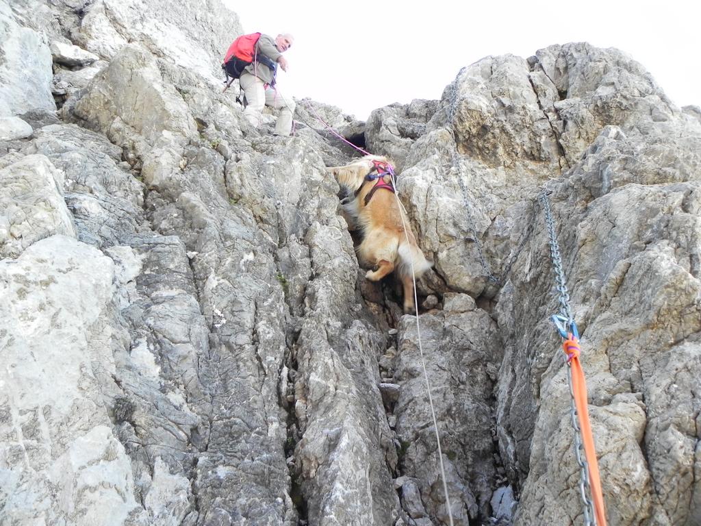 clic ici pour suivante