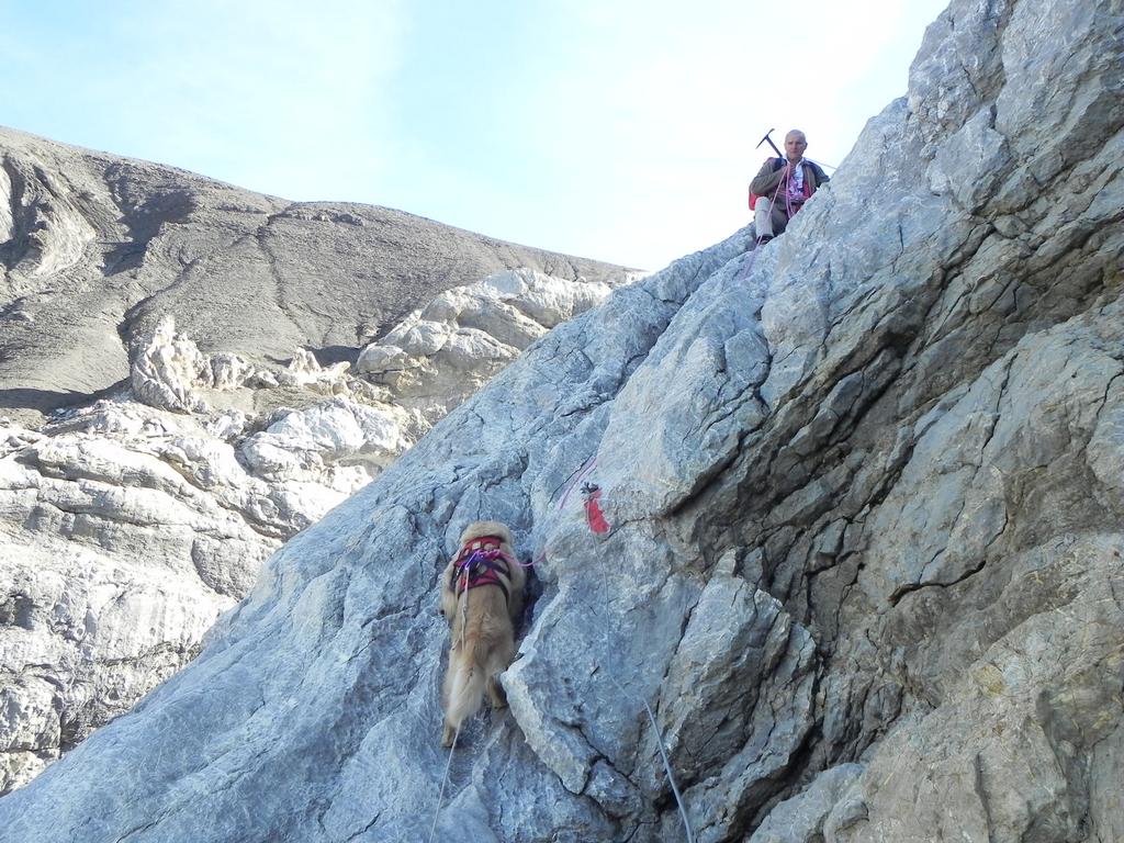 clic ici pour suivante