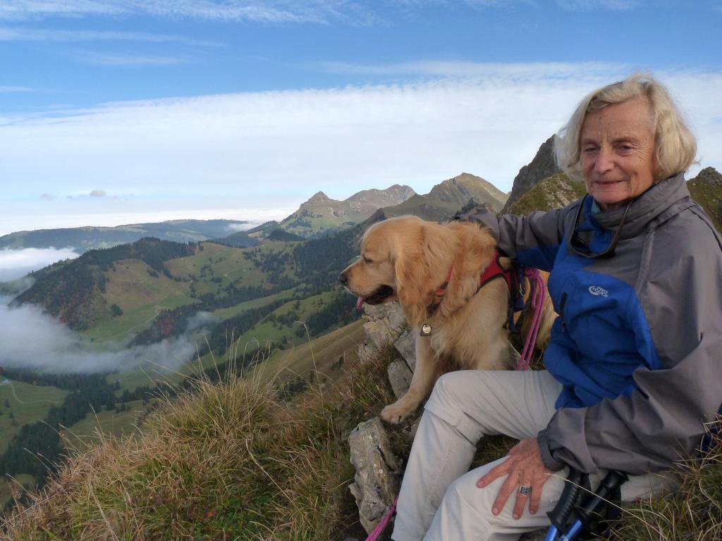 clic ici pour suivante