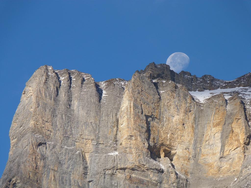 clic ici pour suivante