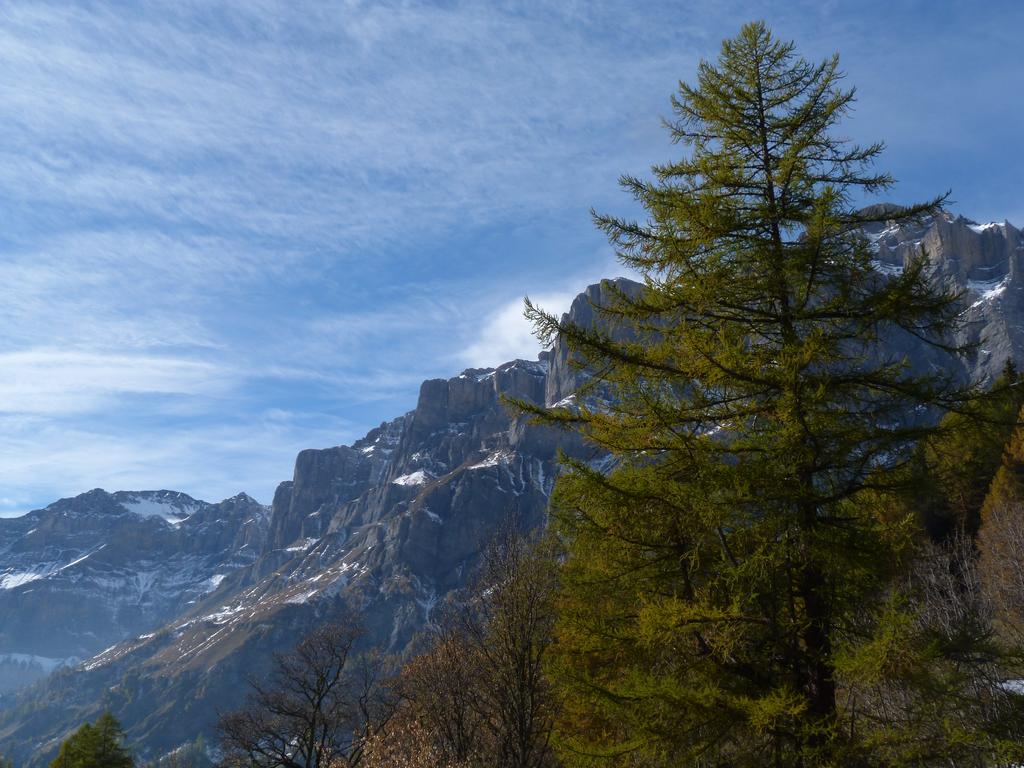 clic ici pour suivante