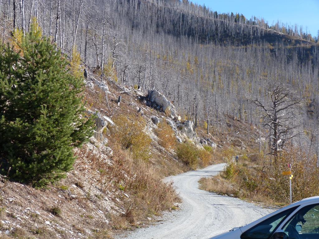 clic ici pour suivante